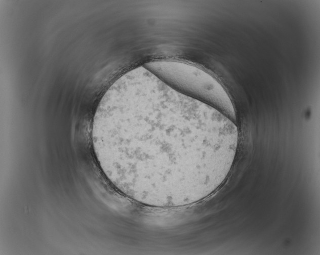 X0000114650045200912011122