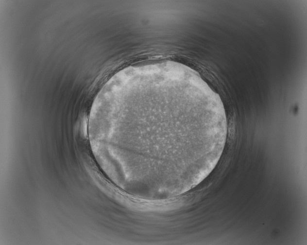 X0000114650046200912011122