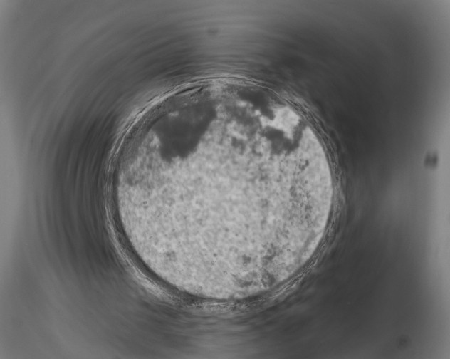 X0000114650049200912011121