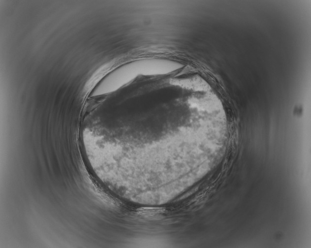 X0000114650051200912011121