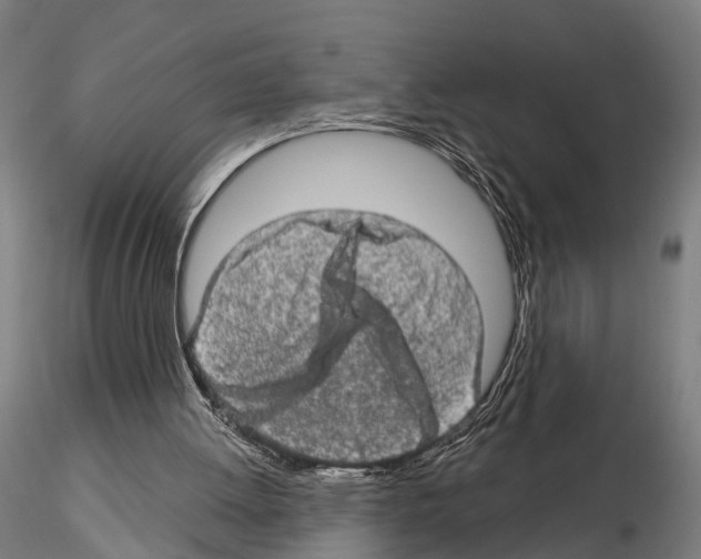 X0000114650052200912011121