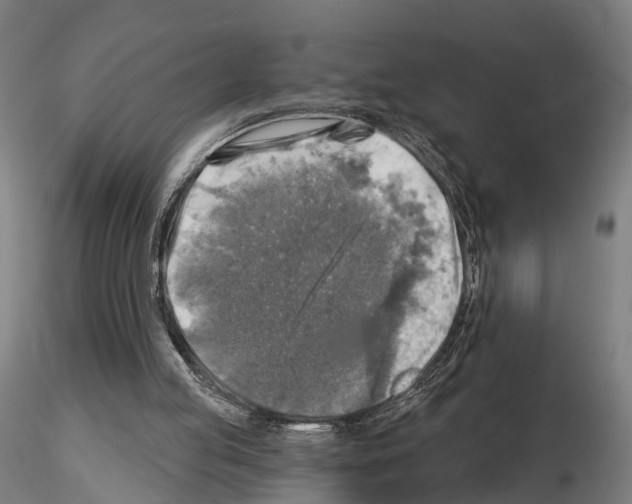 X0000114650053200912011121