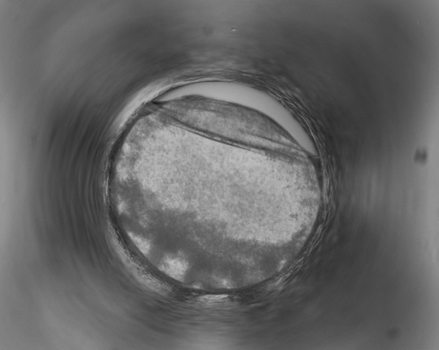 X0000114650054200912011121