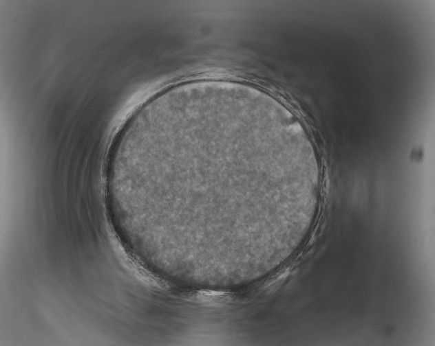 X0000114650055200912011121