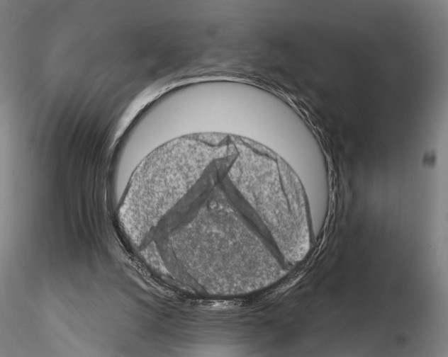 X0000114650056200912011121