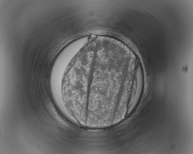 X0000114650057200912011121