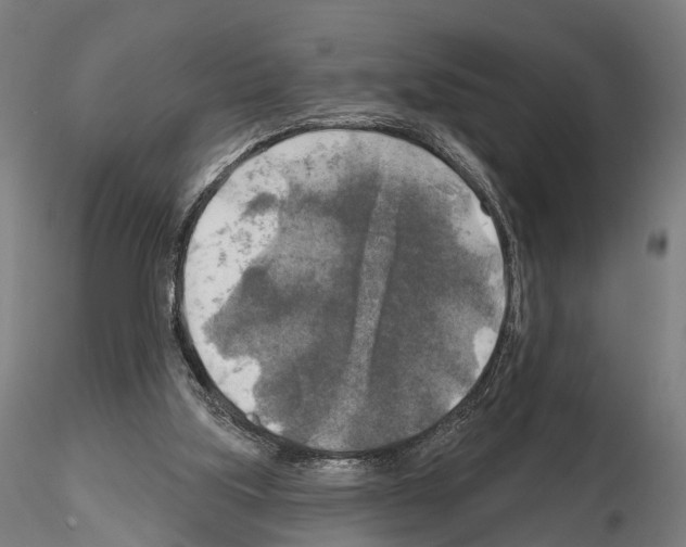 X0000114650059200912011121