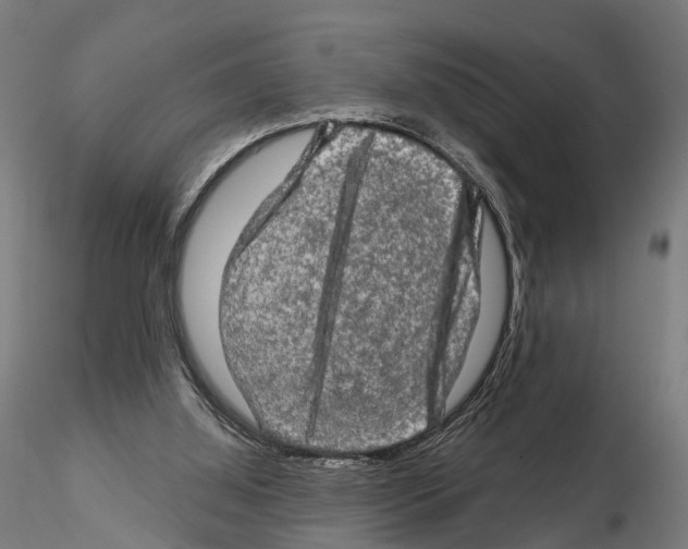 X0000114650060200912011121