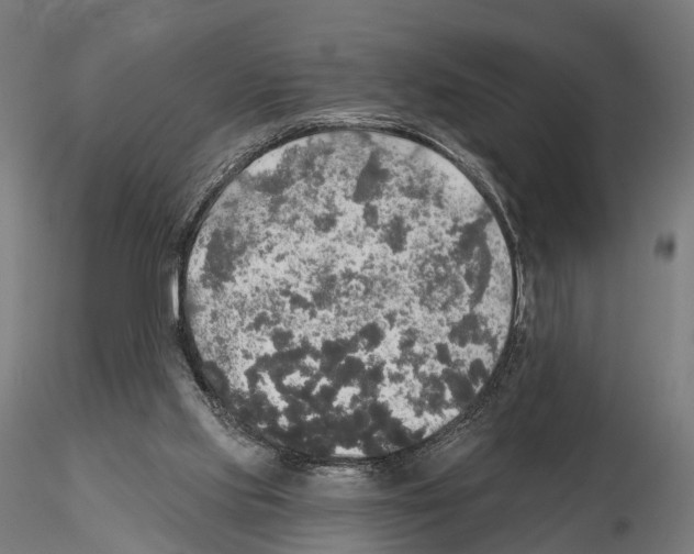 X0000114650061200912011121