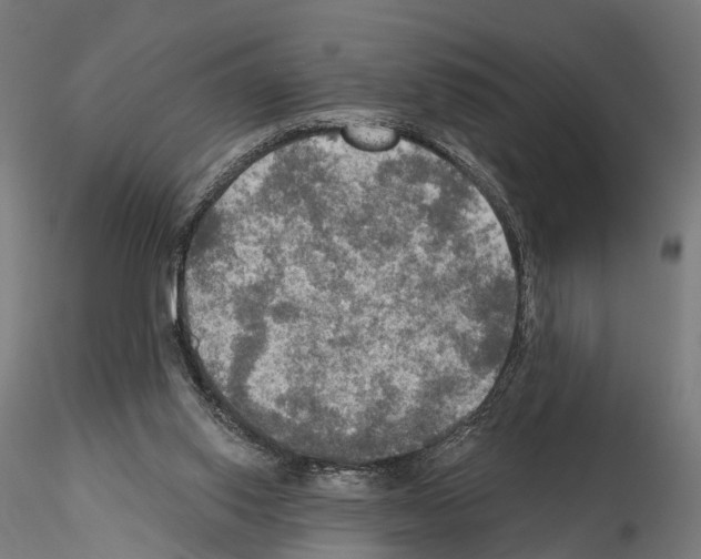 X0000114650062200912011121