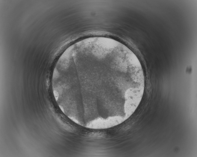 X0000114650063200912011121