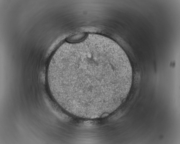 X0000114650064200912011121