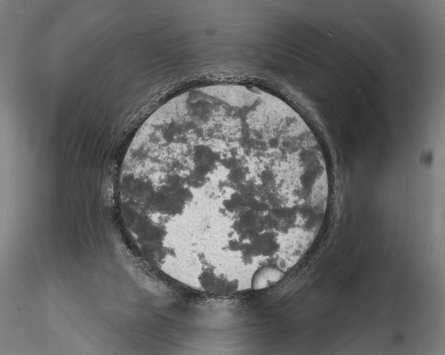 X0000114650065200912011121