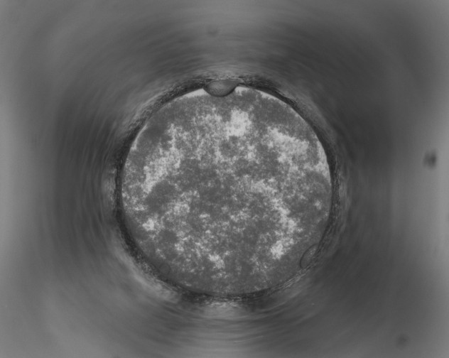 X0000114650066200912011121