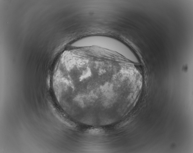 X0000114650067200912011121