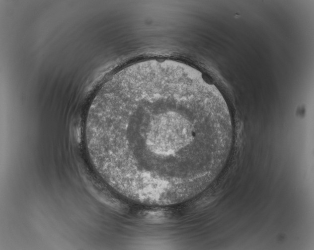 X0000114650068200912011122