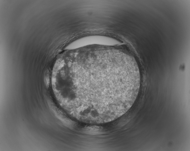 X0000114650069200912011122