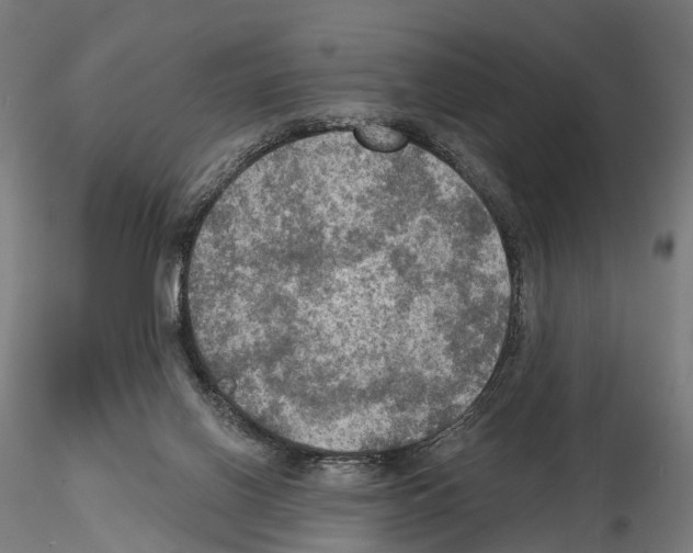 X0000114650070200912011122