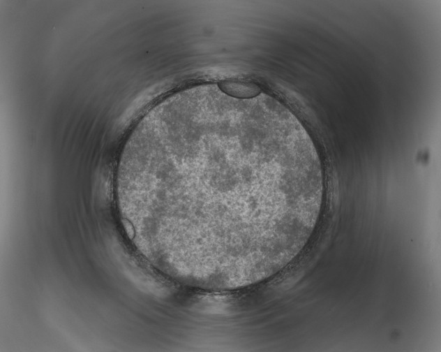 X0000114650071200912011122