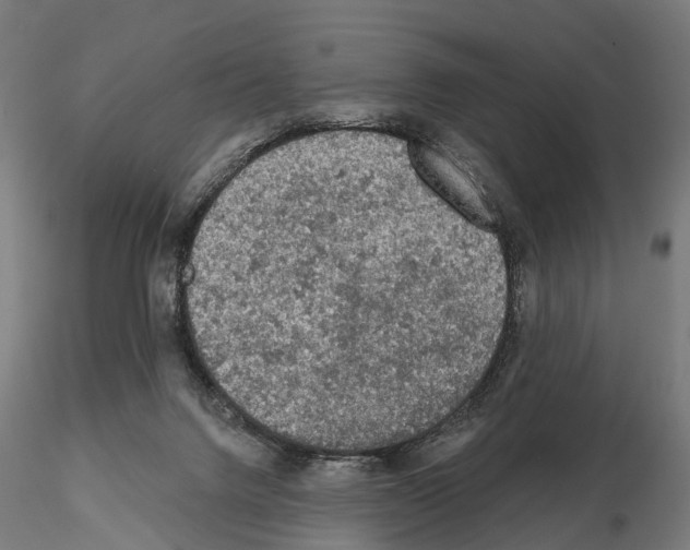 X0000114650072200912011122