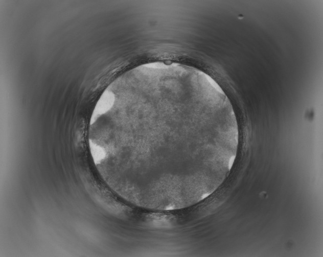 X0000114650073200912011122