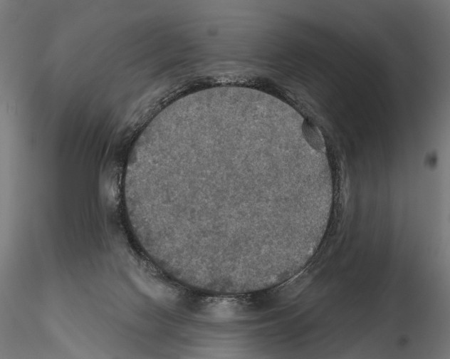 X0000114650074200912011122