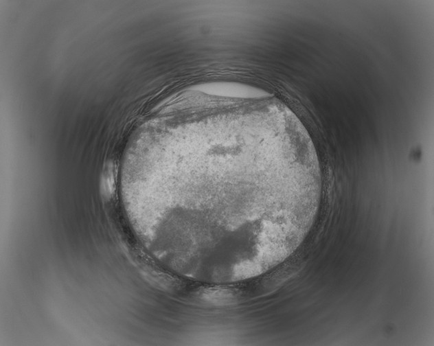 X0000114650075200912011122