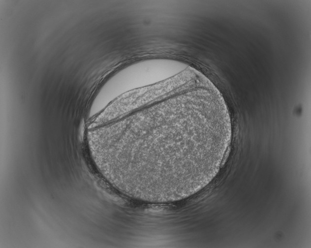 X0000114650076200912011122