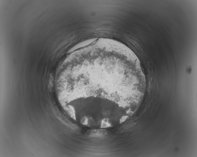 X0000114650077200912011122