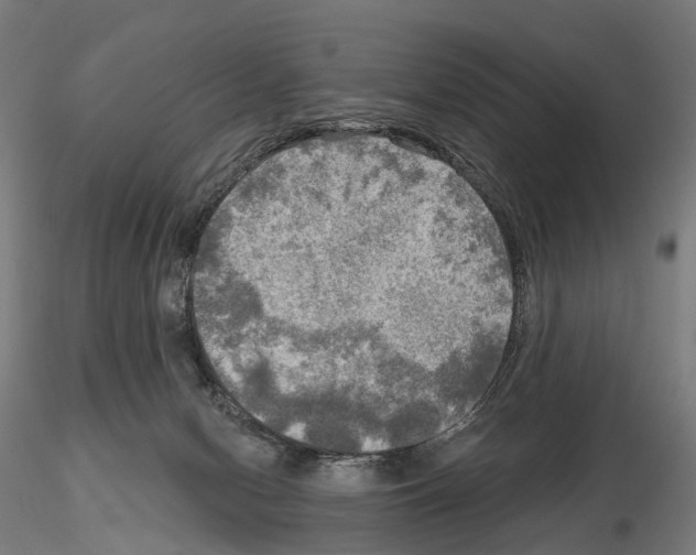 X0000114650078200912011122