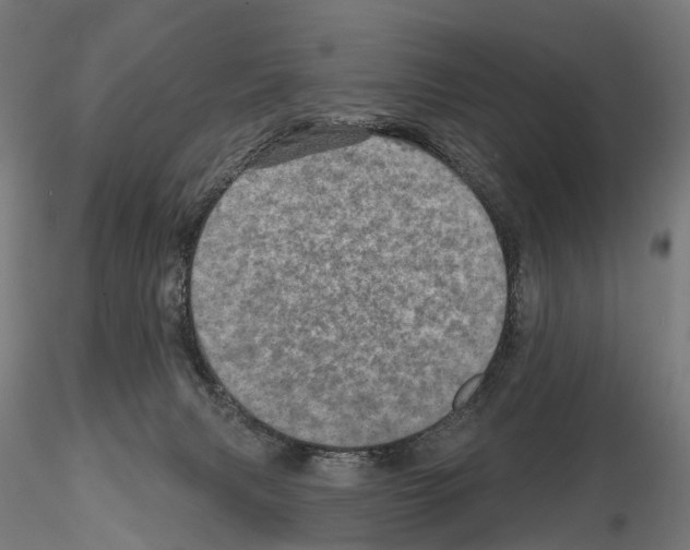 X0000114650079200912011122