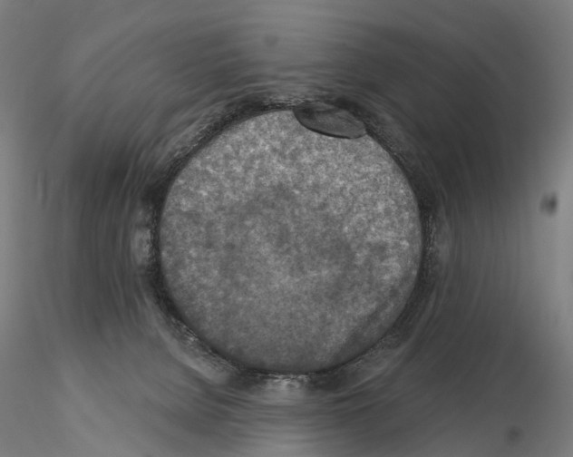 X0000114650080200912011122