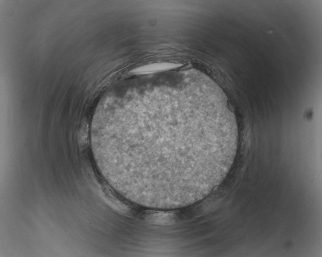 X0000114650081200912011122