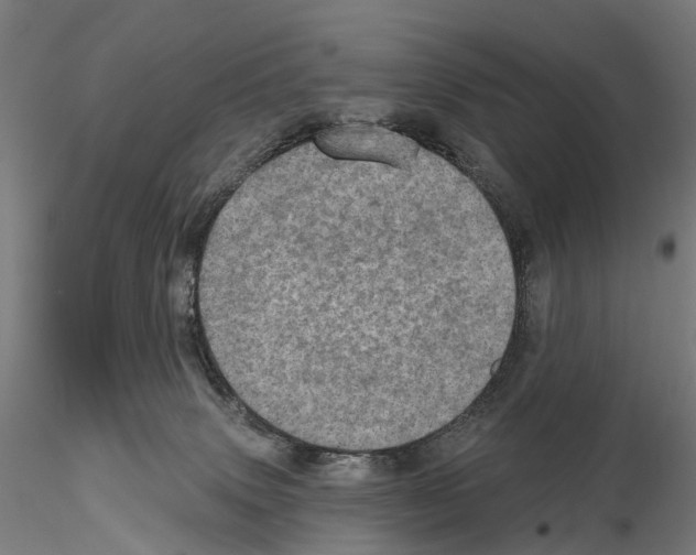 X0000114650083200912011122