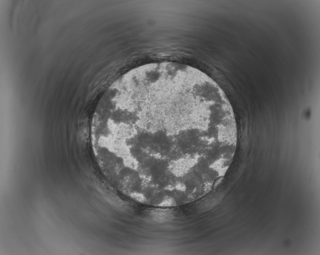 X0000114650085200912011122