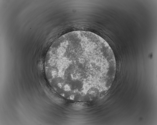 X0000114650086200912011122