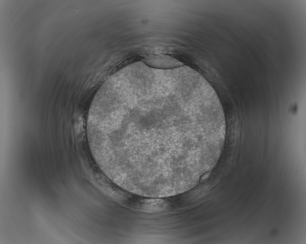 X0000114650087200912011122