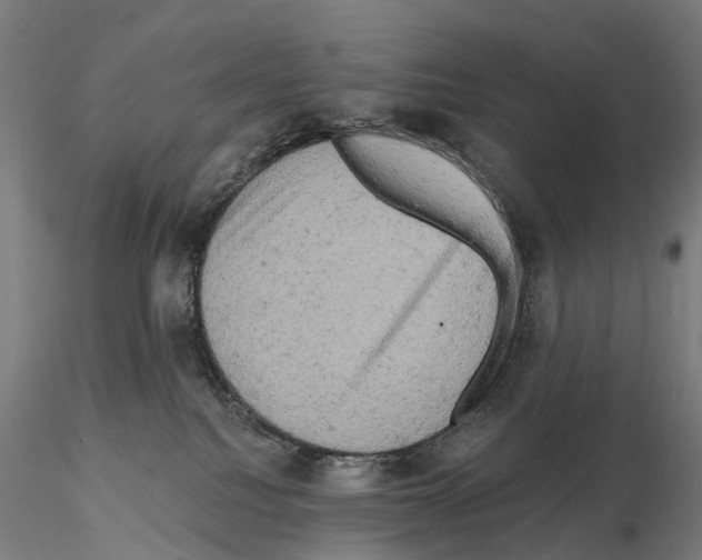 X0000114650088200912011122