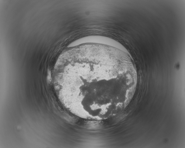 X0000114650089200912011122