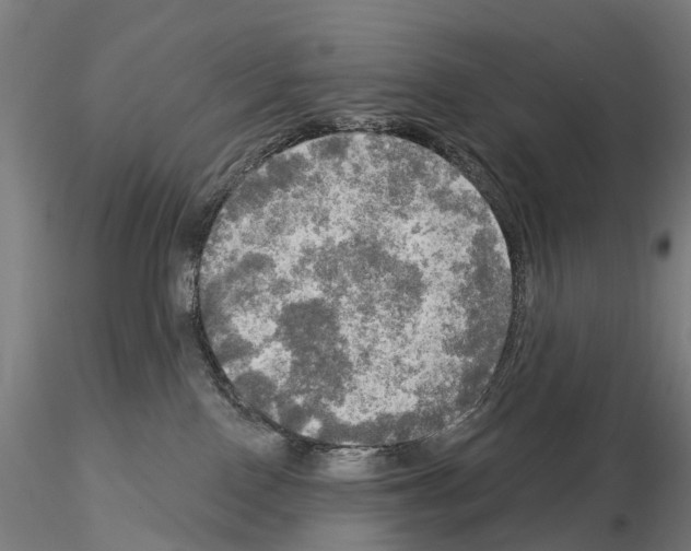 X0000114650090200912011122