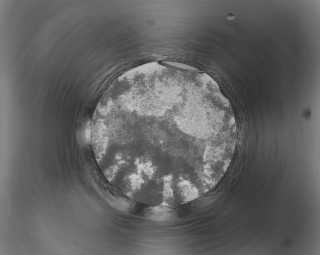 X0000114650095200912011122