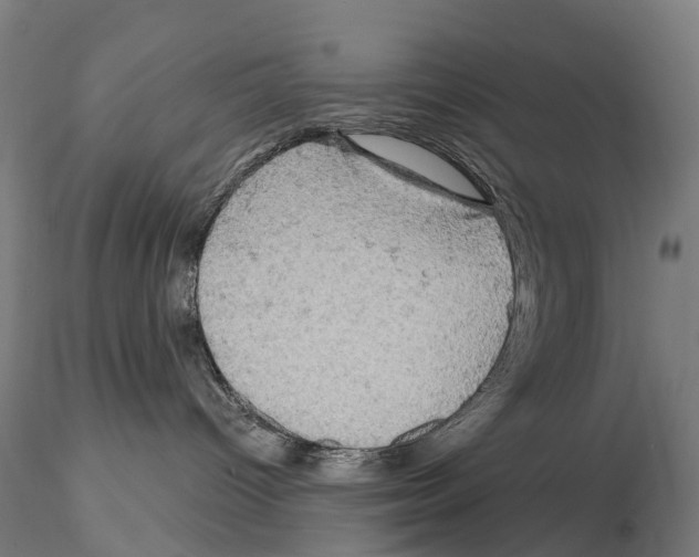 X0000114650096200912011122