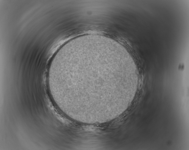 X0000114650098200912011121