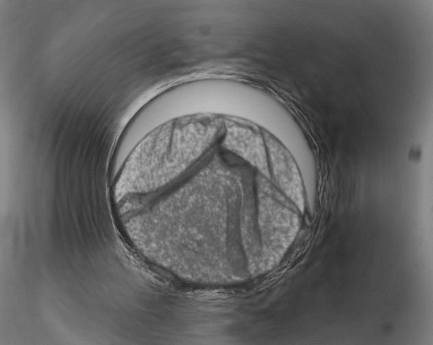 X0000114650100200912011121