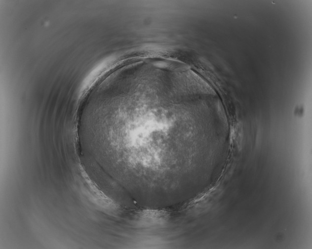 X0000114650101200912011121