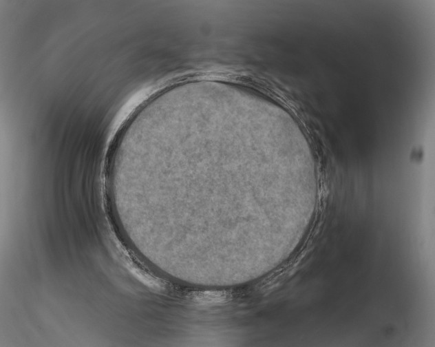 X0000114650102200912011121