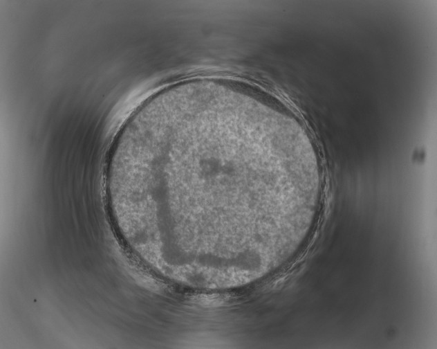 X0000114650103200912011121