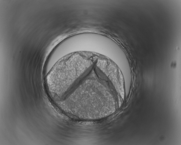 X0000114650104200912011121