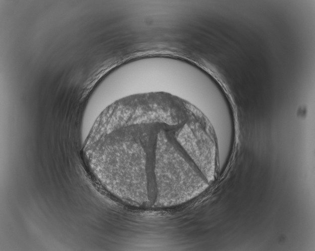 X0000114650105200912011121