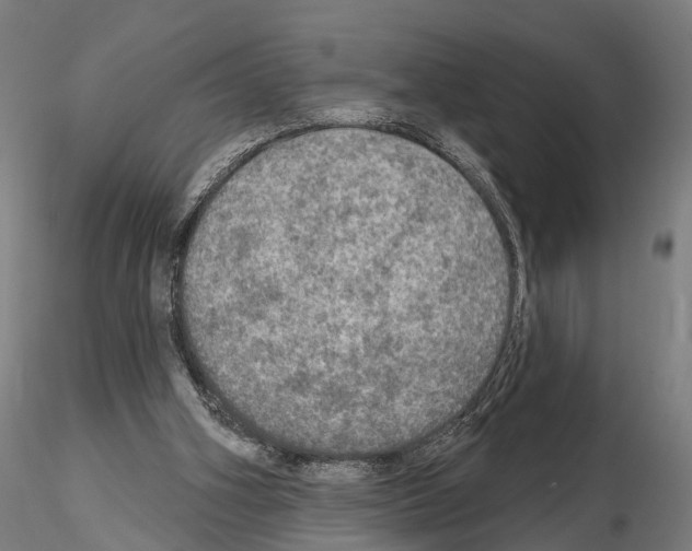 X0000114650106200912011121